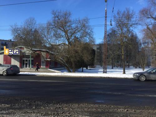 Cat Garden Family Apartments Riga - image 3