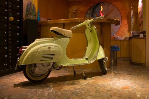 olivegrove - image 2