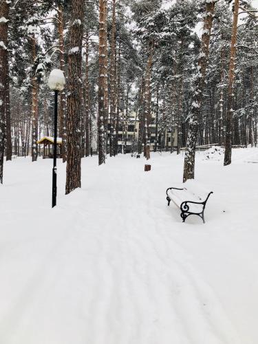 Borov Park 1 - image 12