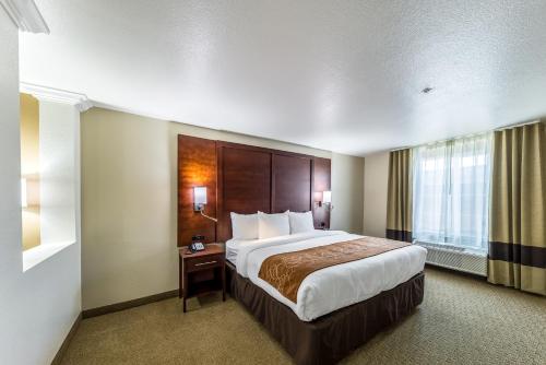 1 king bed