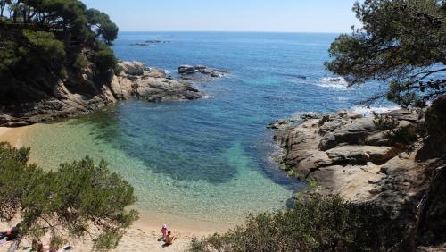 htop Platja Park - image 14