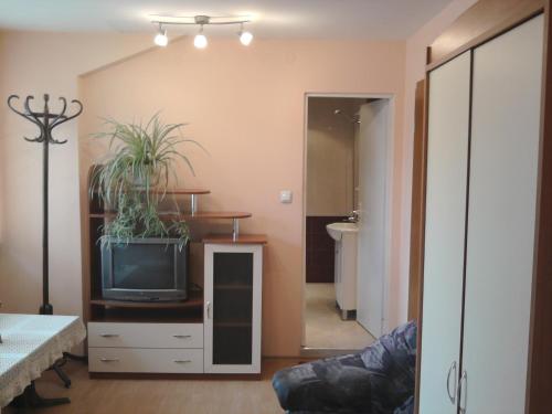 Aleks Guest House - image 7