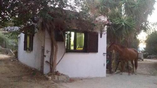 Sitia Vrisidi ranch in Sitia