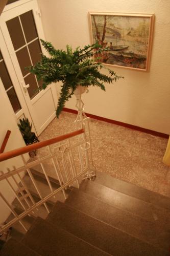 Hotel Na Vodách - image 8