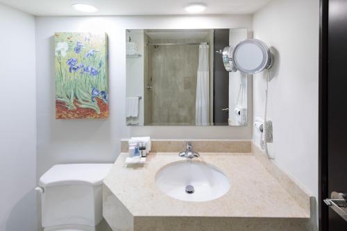 Wyndham Executivo Culiacan Room Type - Standard King Non Smoking