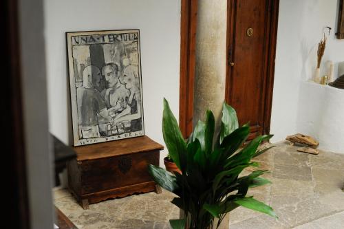 Mirador del Jazmín Mirador del Jazmín