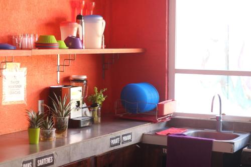 Hostal Orquideas
