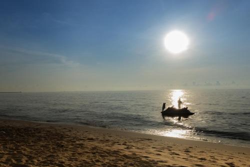 Großartiger Strandzugang