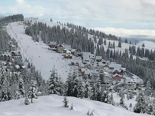 Cabana Restaurant TERRA in Rânca - Novaci