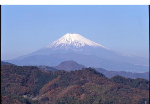 大仁酒店