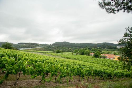 Quinta de Lourosa - image 7