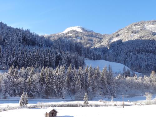 A szálláshely kívülről, Haus Ottilie in Flachauwinkl