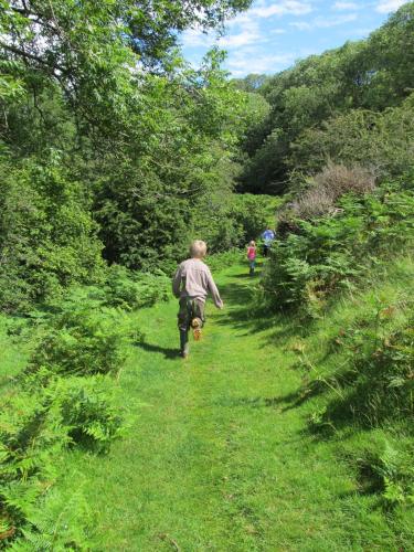 Highland Moors - image 14