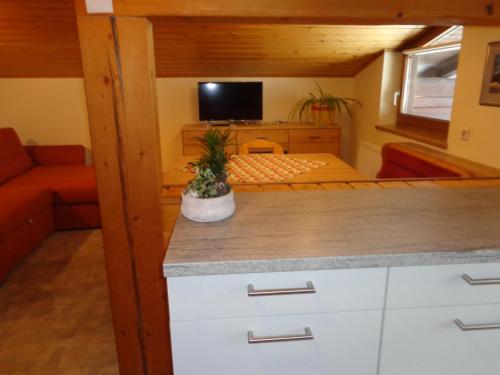 Haus Ottilie in Flachauwinkl