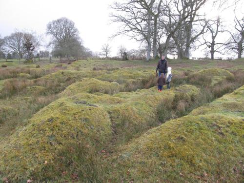 Highland Moors - image 8