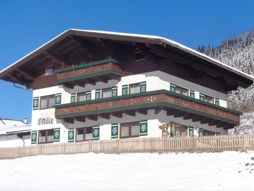 Haus Ottilie in Flachauwinkl