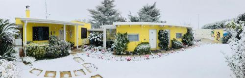 La Casa 4