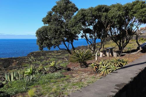 บริการและสิ่งอำนวยความสะดวก, Casa d'Avó Francisco (Casa d'Avo Francisco) in เซา กาเอตาโน