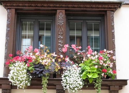 Gîte FLEUR DE VIGNES - image 3