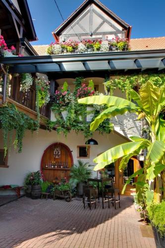 設施, Gîte FLEUR DE VIGNES (Gite FLEUR DE VIGNES) in 伊特斯維勒