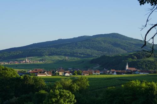 Gîte FLEUR DE VIGNES - image 7