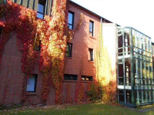Jugendherberge Bonn - image 7