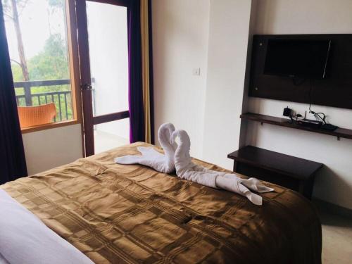 Hotel Wild Trees Munnar