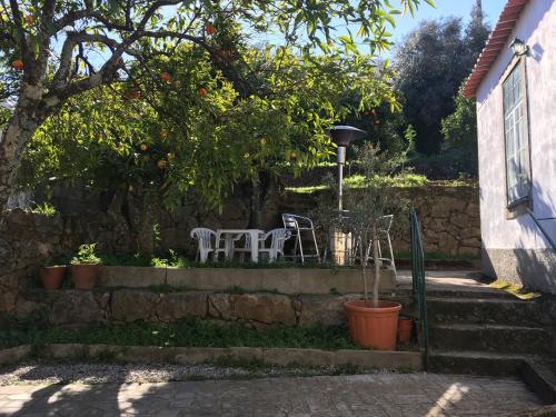 Dārzs, Casa da Vila in Penamakora