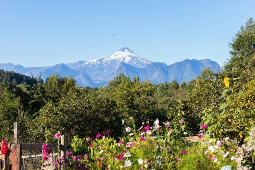 Uitzicht, Cabanas Los Canelos Pucon, Hermosa Granja de 20 hectareas a orillas del Rio Liucura in Quetroleufu