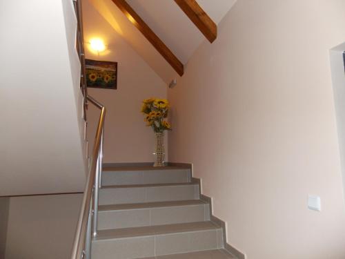 Apart Hotel Rosen - image 9