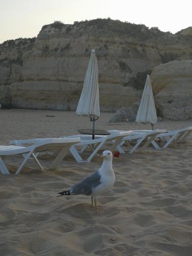  Apartamento Praia da Rocha, Varandas do Sol 2 in Portimão