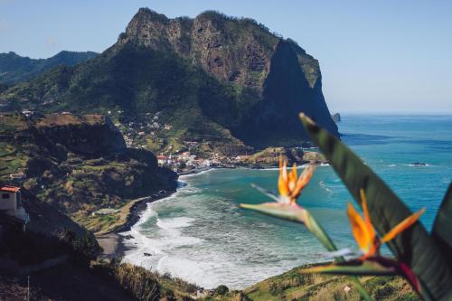Ohana Madeira Guest House 5