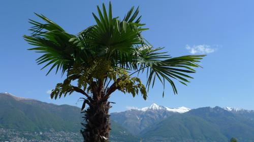 Acquachiara