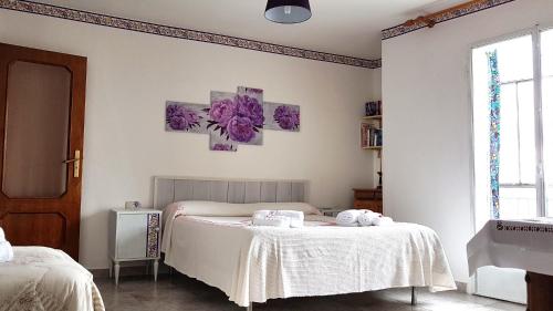 B&B Regina Elena in Pignola
