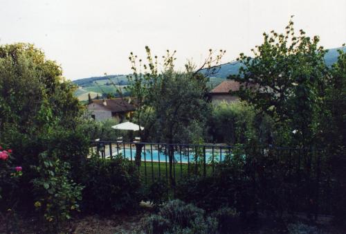 villa oliveta - main image