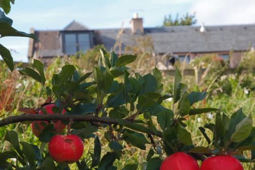 Cockle Kitty Cottage – Kelso