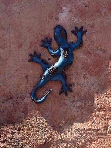 La Salamandre Bleue - image 4