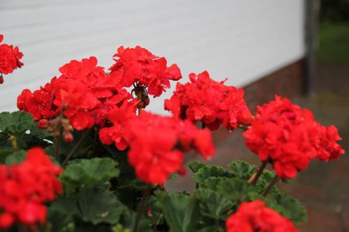 Rantum-2-Wohnung-Flut - image 7