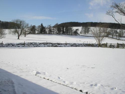 Green Grove Country House - main image