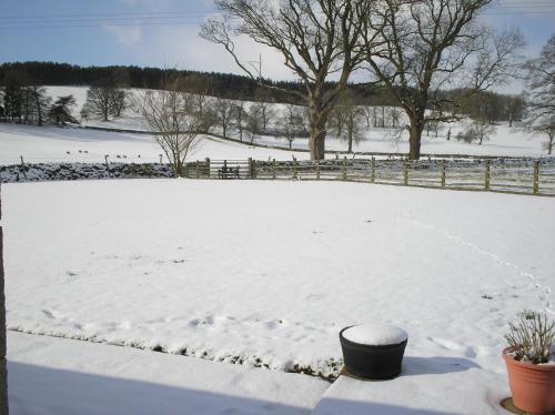 Green Grove Country House - image 2