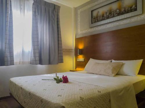 BOUTIQUE HOTEL VILLA ERINA ( ONLY ADULTS) - image 10