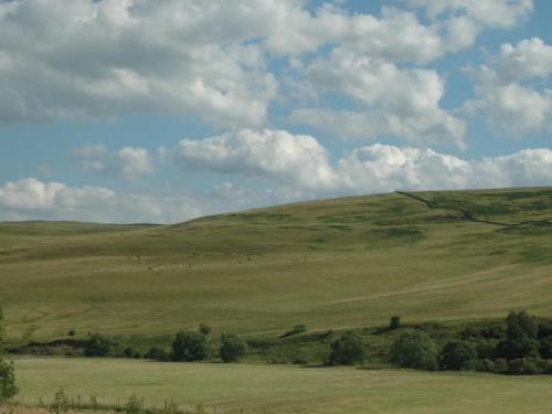 Borthwickbrae Shepherd's Hut