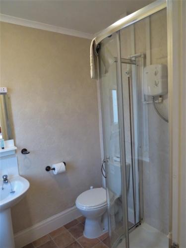 The Haldon Guest House - image 2