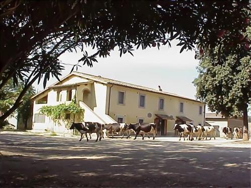  Biobagnolese Agriturismo, Orte bei Monte Campano