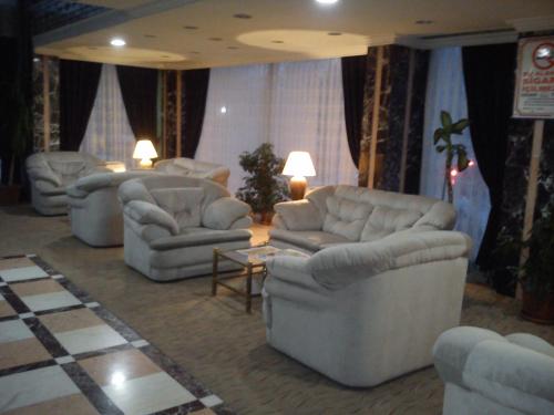 Miroglu Hotel - image 10