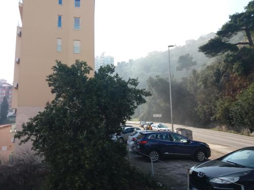 Apartmani Vila Marija - image 13