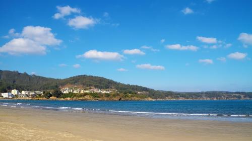 Duerming Park Viveiro - image 2