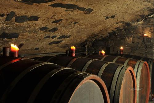 Ferienweingut Arnold Fuhrmann & Sohn - main image