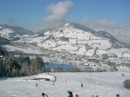 Appartement Alpenhof Wildschönau - image 5