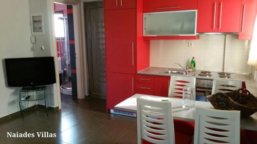 virtuve, Naiades Villas in Paralia Niforeikon